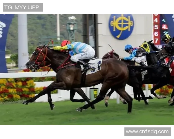 上海羽毛球队技术实力飙升创新高引领全国羽坛新风潮