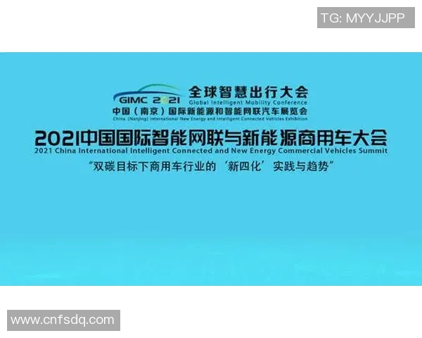 平福与清化的对比分析及其对未来发展的影响探讨