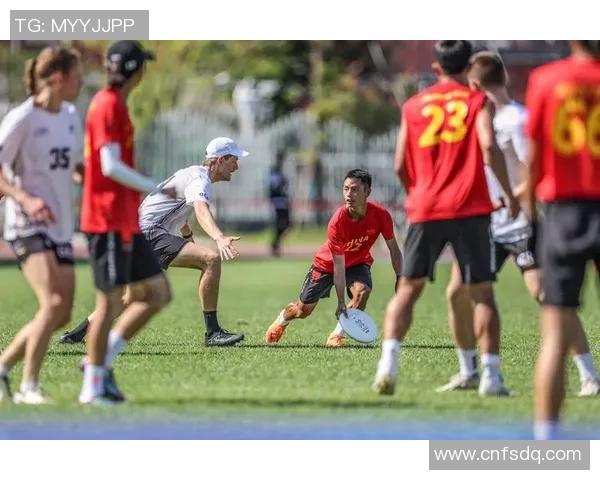 成都飞盘队配合变革引发热议探索团队协作的新模式与未来发展MBA